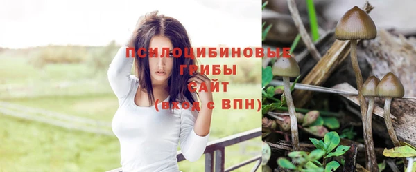 мяу мяу мука Алексеевка
