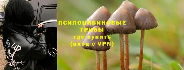 мяу мяу мука Алексеевка