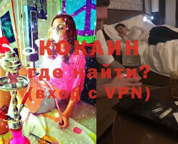мет Алексин