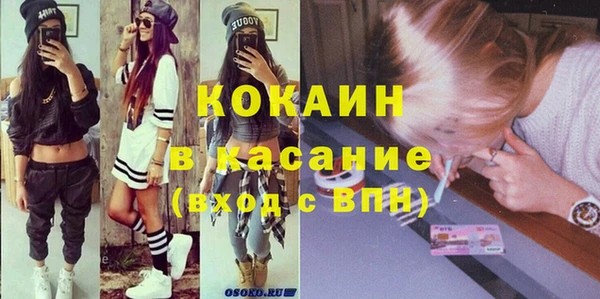 мет Алексин