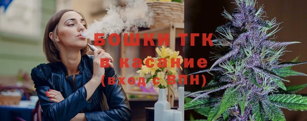 мет Алексин