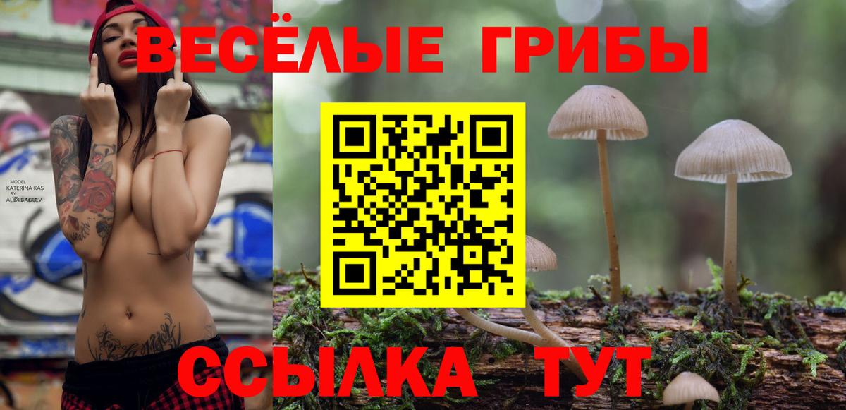 Псилоцибиновые грибы GOLDEN TEACHER  Вход с VPN  Псилоцибиновые грибы Psilocybe  Павлово 