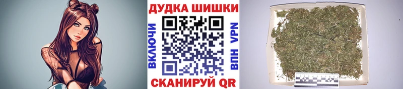 Конопля сатива  сколько стоит  Павлово 